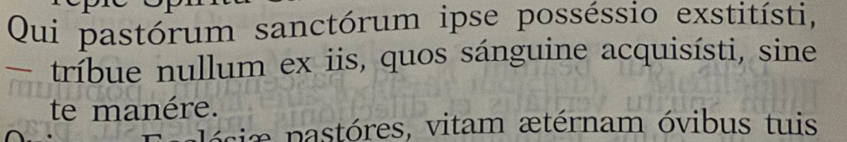 Fr. Thomas Petri OP tweet media