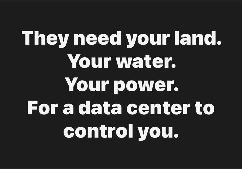 David Wolfe tweet media