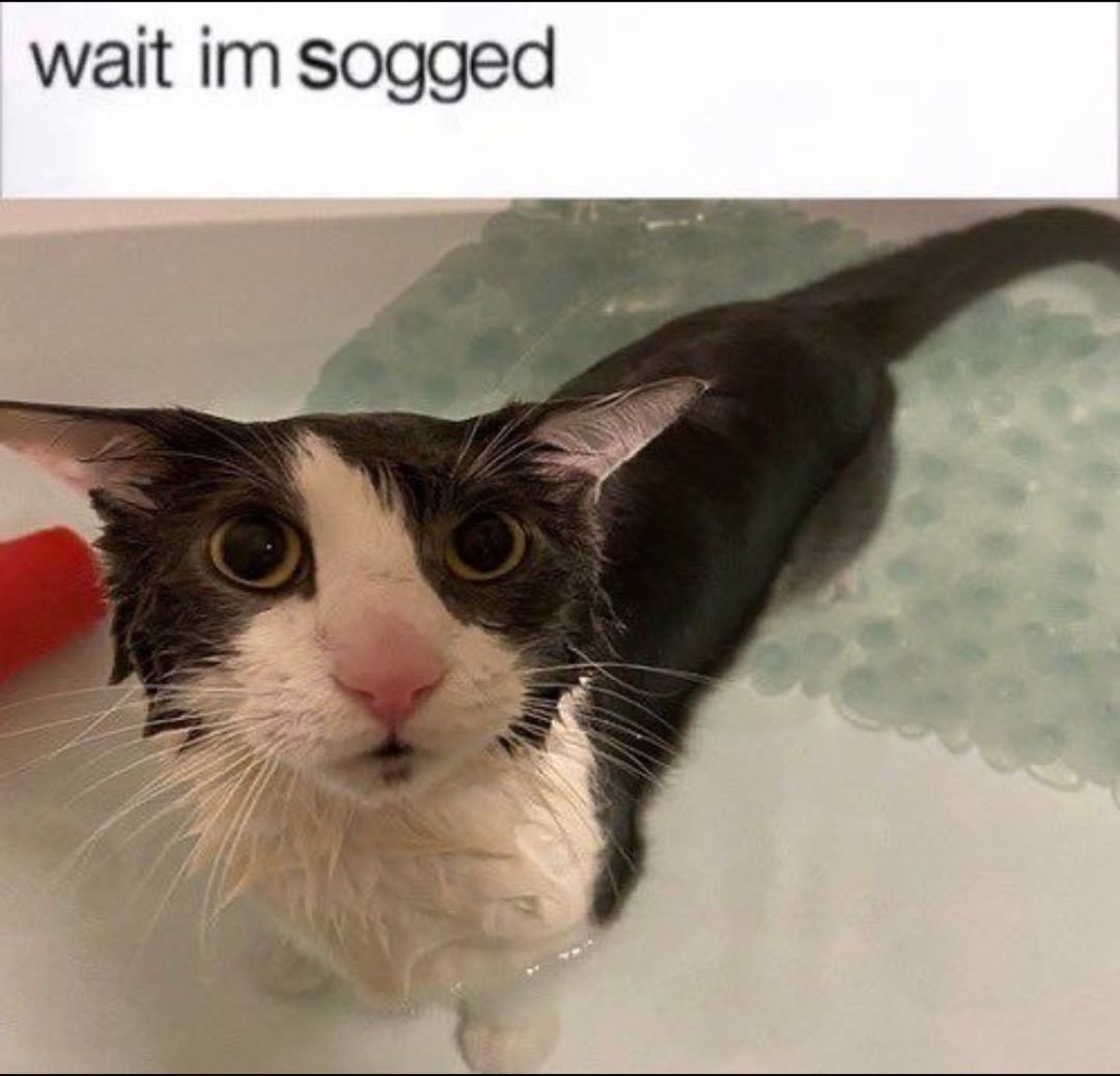lvjyings's tweet photo. same energy https://t.co/Mp6MqY6vsI