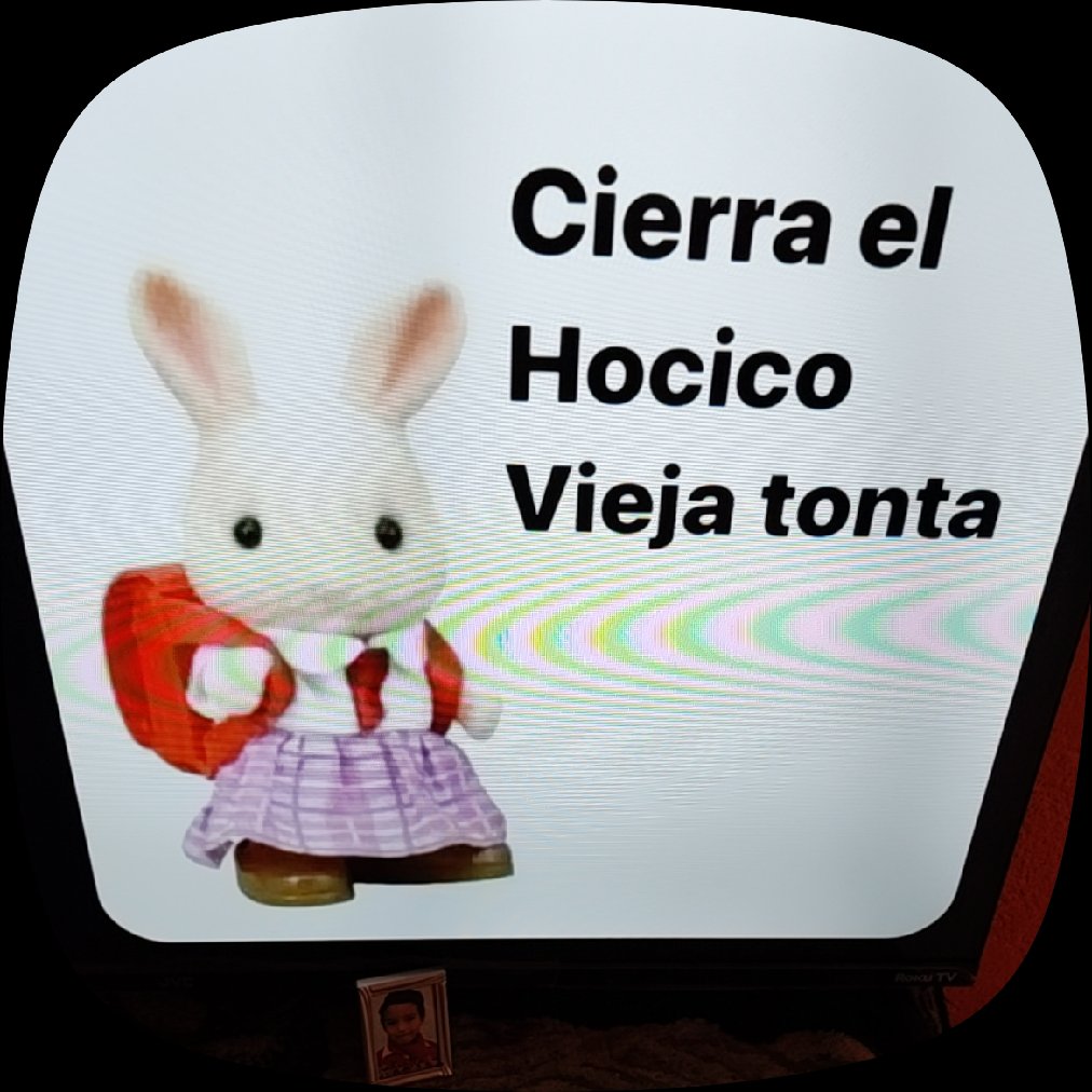 kRollo tweet media