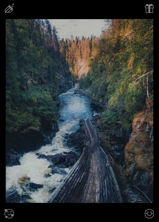 arshadkhilji005's tweet photo. Space exhibition Books, read621576. Walking through lush greenery completely alleviates inner anxiety and impulsiveness. The serene and gentle natural environment shields one from external noise and distractions, allowing the mind to achieve pure peace and tranquility.💾 https://t.co/a5j5E14ylU