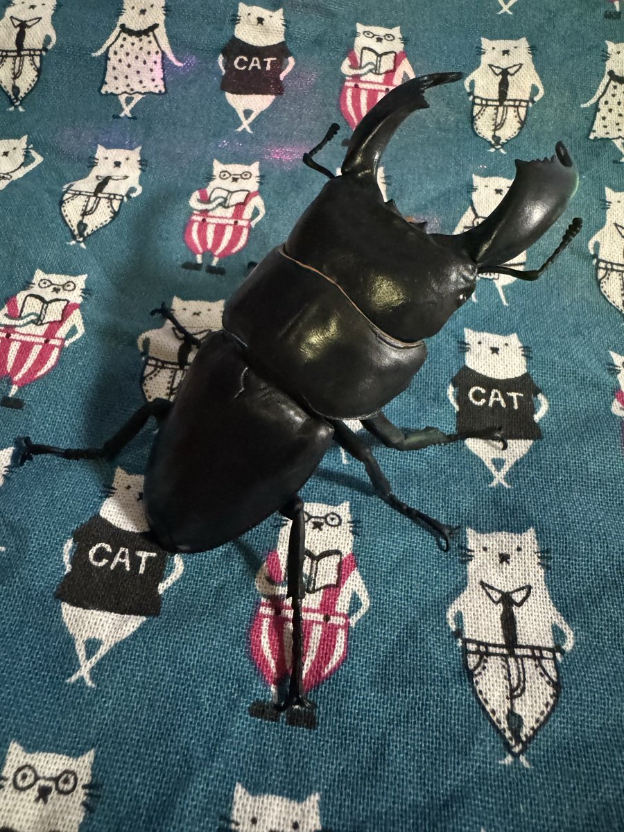 mnrnkv's tweet photo. この子ガチャの景品なのだ〜
すごくリアルなスマトラオオヒラタ
ただ触覚が取れやすくて飾るのは断念🌀 https://t.co/9oF22yOLEF
