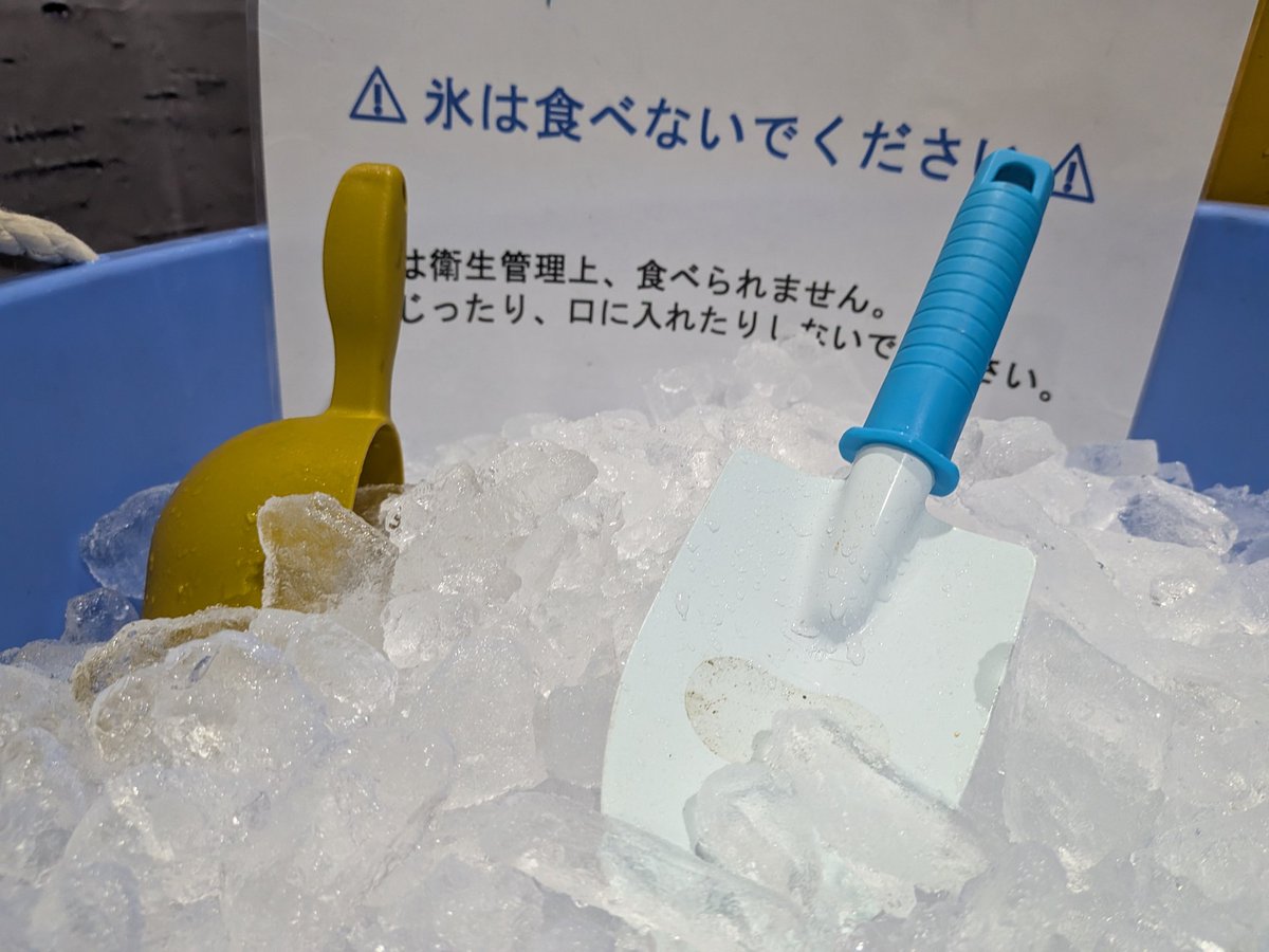 tamayaashiyu's tweet photo. 毎日暑いですね❕️
本日はつくみ港まつりに「極寒体験」で参加しています🧊
熱中症対策にも利用出来ます❕️ぜひ遊びに来てくださいね🧊催しいっぱいありますよ❕️
#極寒体験
#熱中症対策
#津久見市
#つくみ港まつり
#大分県 https://t.co/soLKU7MJ5J