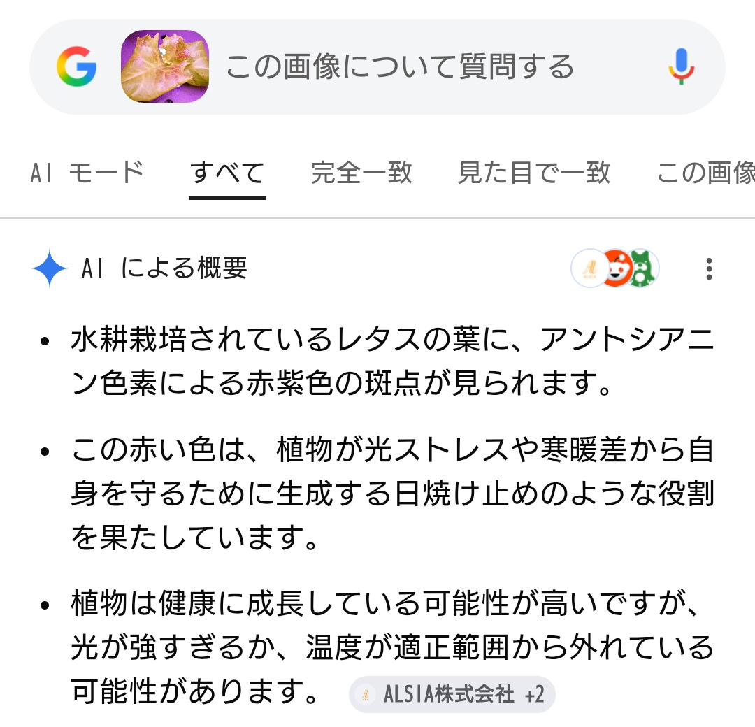 MSSTstart's tweet photo. AIちゃん物知りすぎて助かる。 https://t.co/kbTK93YGG0