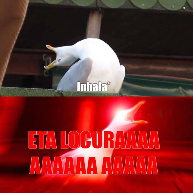 MatiasRc22's tweet photo. Los números de las camisetas https://t.co/yVZUqLvi33