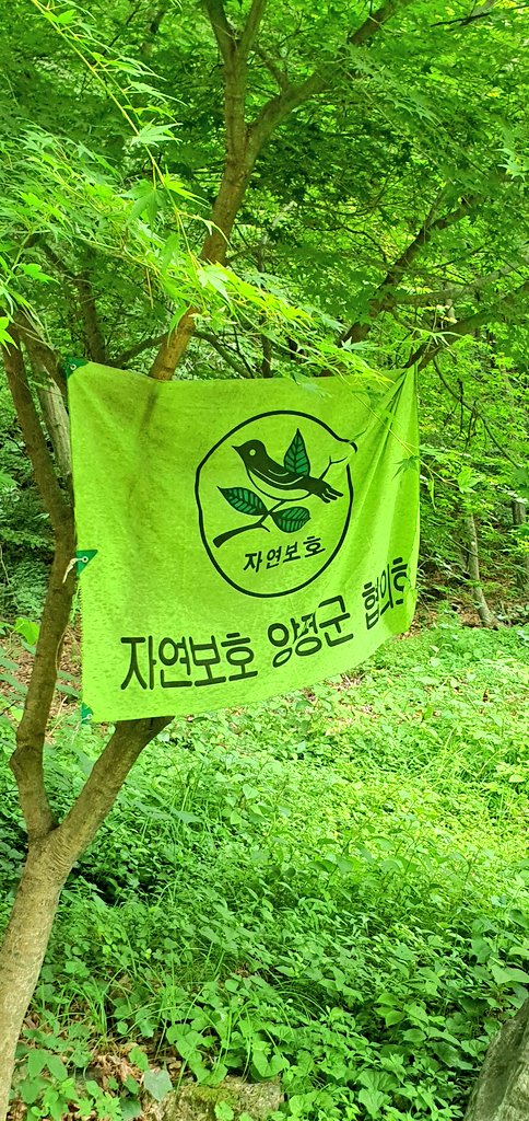 jun_miguel_lee's tweet photo. 양평 여행 너무 좋았어 https://t.co/90RjhMVv14