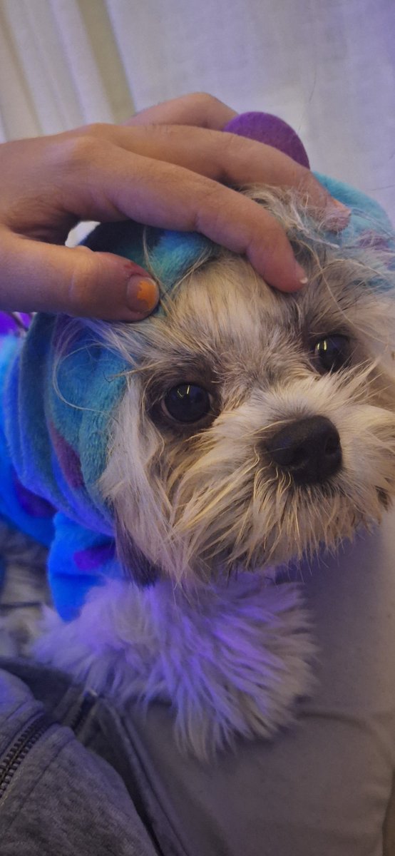 ɾemy. tweet media