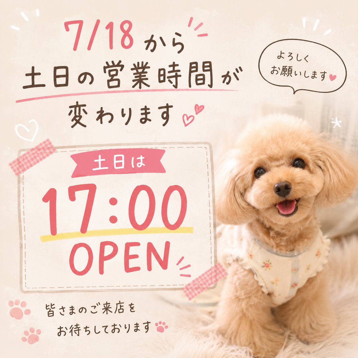 kinpouen's tweet photo. 本日より土日はOPEN17時～(120分制)
20日は18時OPEN
⭐️わんちゃん同伴はご予約必須です

 #江戸川区 #葛飾区 #江東区 #千葉 #犬 #篠崎 #瑞江 #市川 #小岩 #新小岩 #犬のいる暮らし #犬同伴 #ペット同伴 https://t.co/wJeBU3YGxx