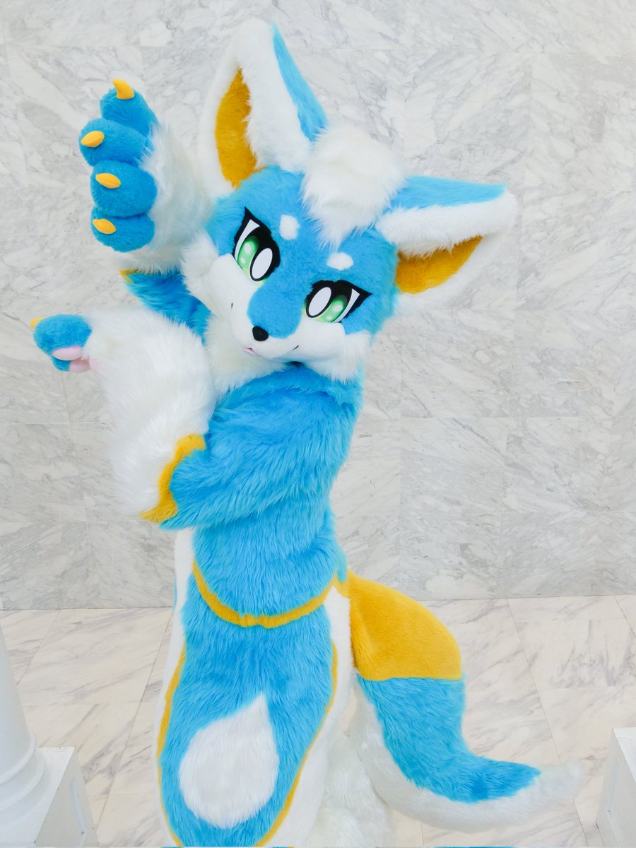 ゆきそらだฅ(*‎´꒳`*ฅ)ꪆニャン FursuitEveryday ニャン ฅ(*´꒳`*ฅ)ꪆ