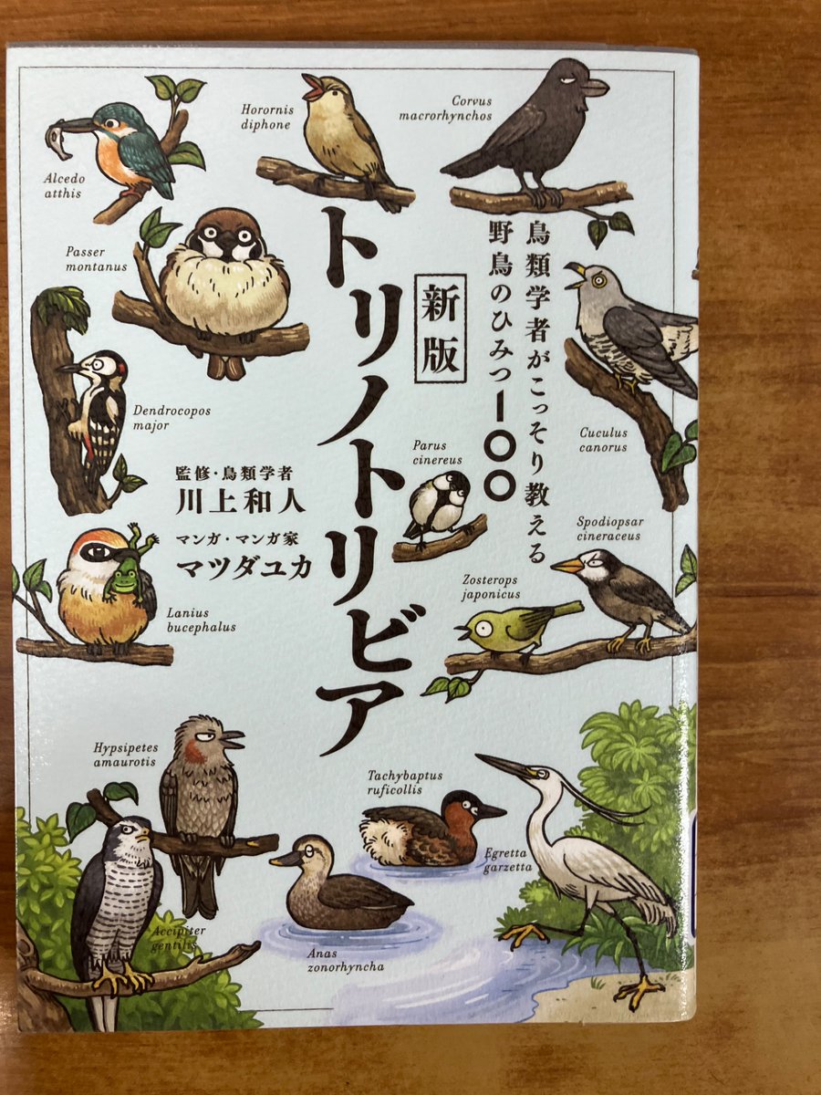 ハカセちゃんに】 ＊『トリノトリビア』＊ スズメはほおの斑点が大きい