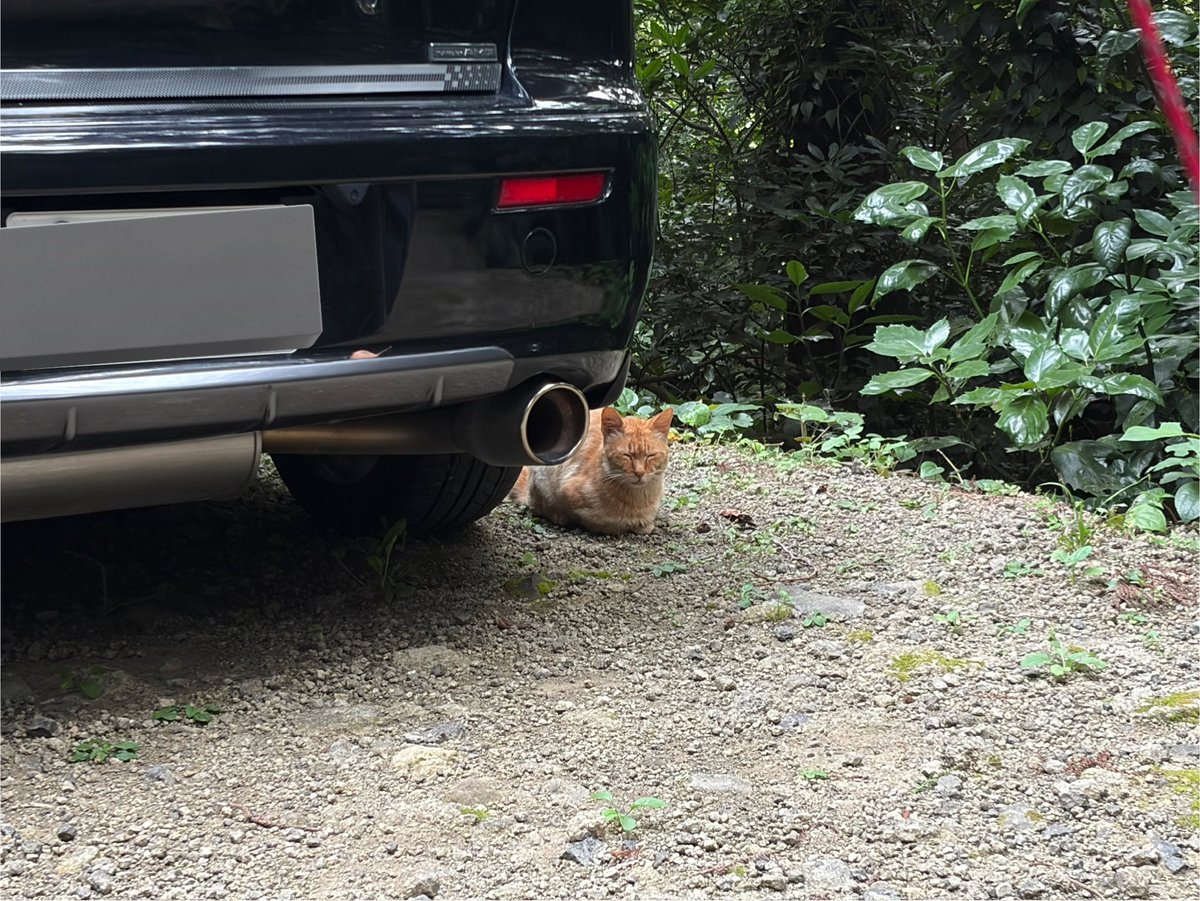 mistio0405's tweet photo. 微妙にソロキャンじゃなかった https://t.co/G7TlxjgI6J