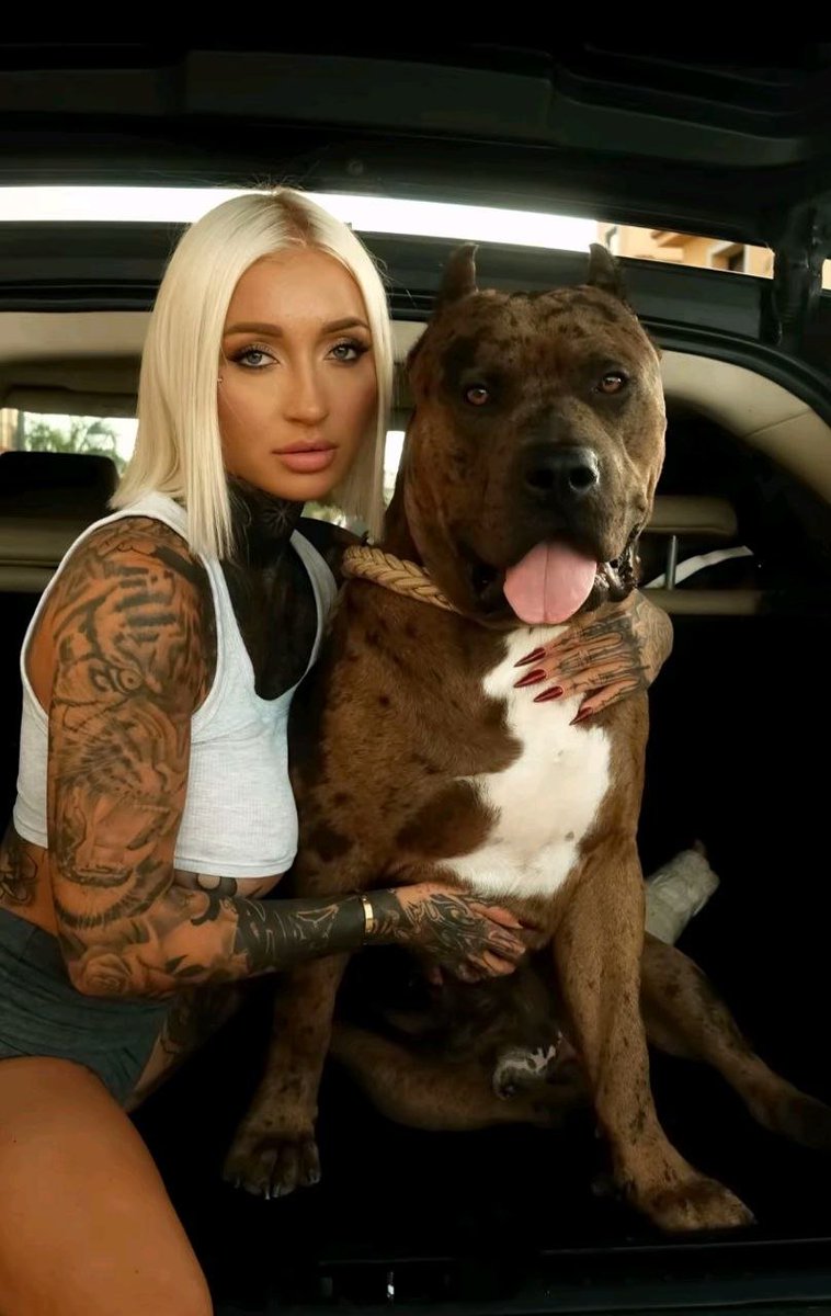 badxlucxy's tweet photo. 💃🤤🐕#bestiality https://t.co/TBRUOuvdsU