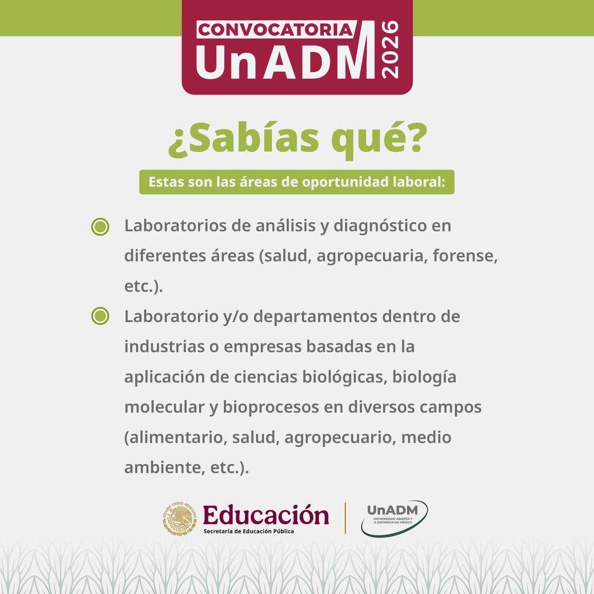 UnADM_Mx's tweet photo. ¿Te imaginas diseñar soluciones médicas, ambientales o alimentarias usando la ciencia? 🧬
Ten las herramientas para transformar el mundo a nivel celular.

¡El futuro de la ciencia está aquí!🔬
🔗https://t.co/yJHbnpsBE6

#ConvocatoriaUnADM2026 #Aspirantes @IVANONLINEMX @lkravzov https://t.co/iKIOk8NiJI