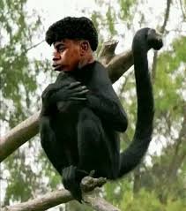 Uefalonadogs's tweet photo. @rileyjmr @EmirxNey Ngl his beard doenst help but funny thing is ur shithole varca club employing this ugly immigrant moroccan chimpanze 😭😭 https://t.co/Thgw7GLRkf