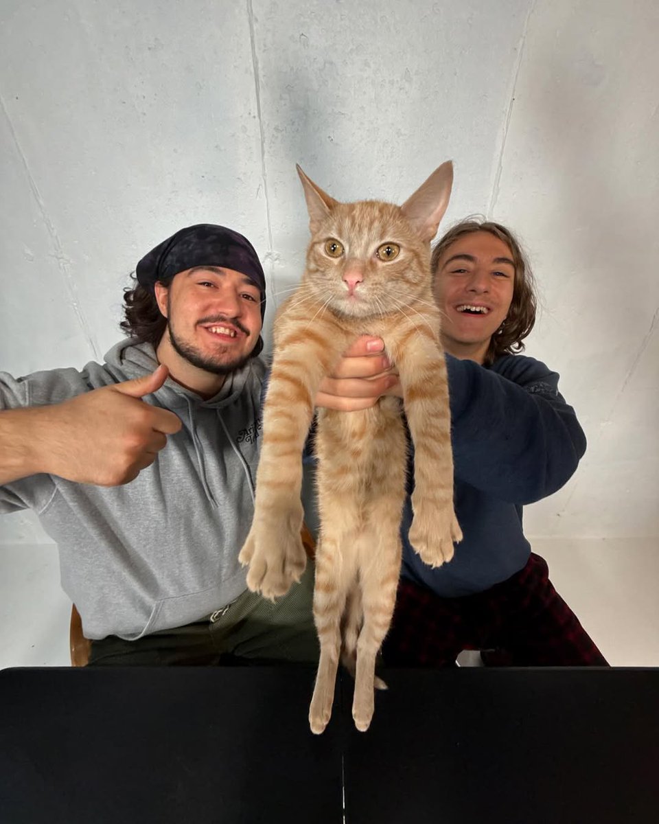 nicktguy4jg2's tweet photo. New Cat who dis
This is Sherman and he loves phones lol https://t.co/xCD5MxJl5m