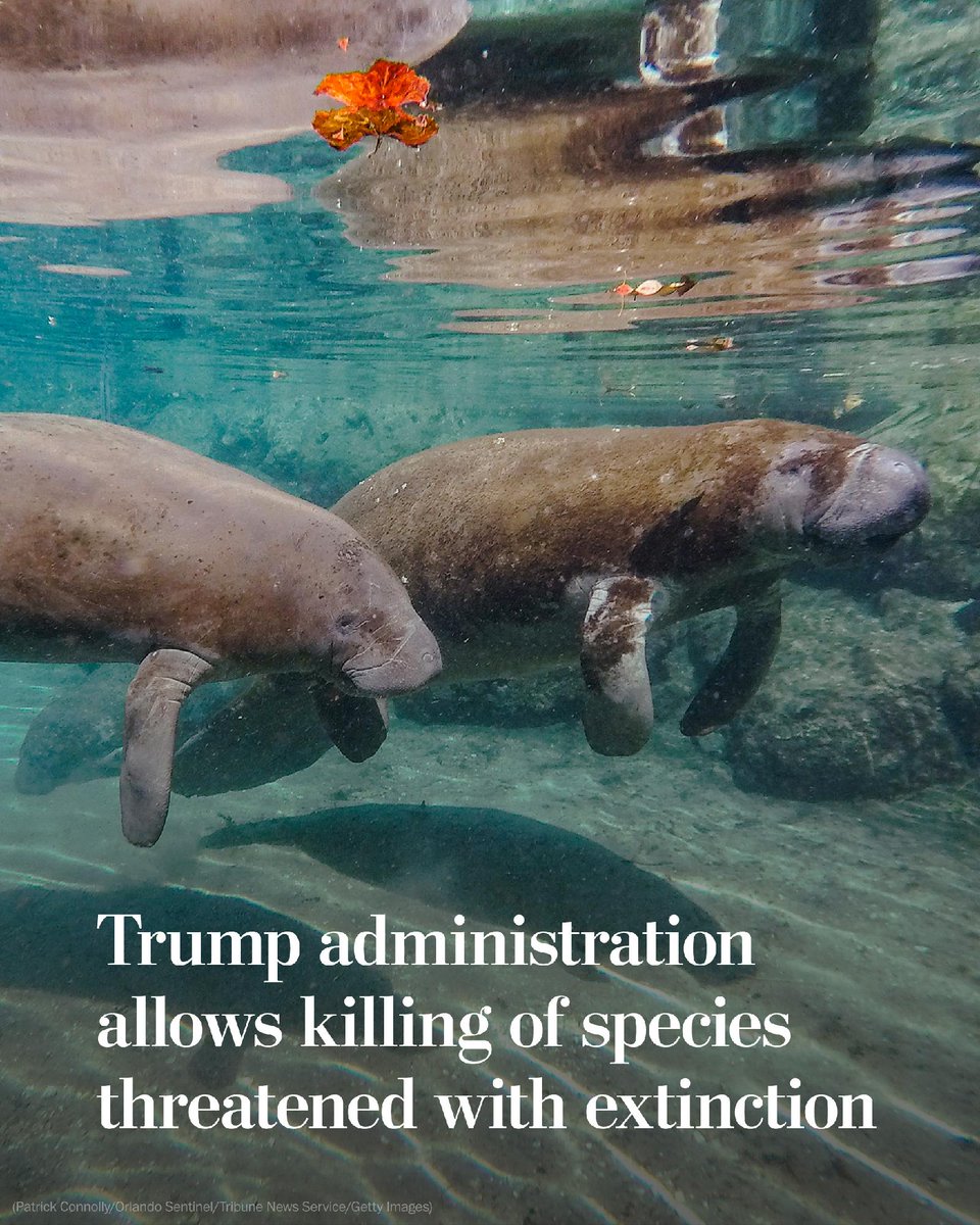 washingtonpost tweet picture