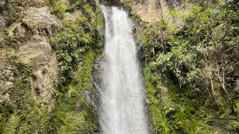 EspaciadoraBar's tweet photo. Ecuador ha declarado 41 Áreas de Protección Hídrica que, en conjunto, suman alrededor de 386.000 hectáreas en todo el país. Ninguna otra provincia concentra tantas como Loja: ocho de 41.

Lee más sobre estos valiosos territorios: https://t.co/TMNMnvawAx https://t.co/swppZ5W68T