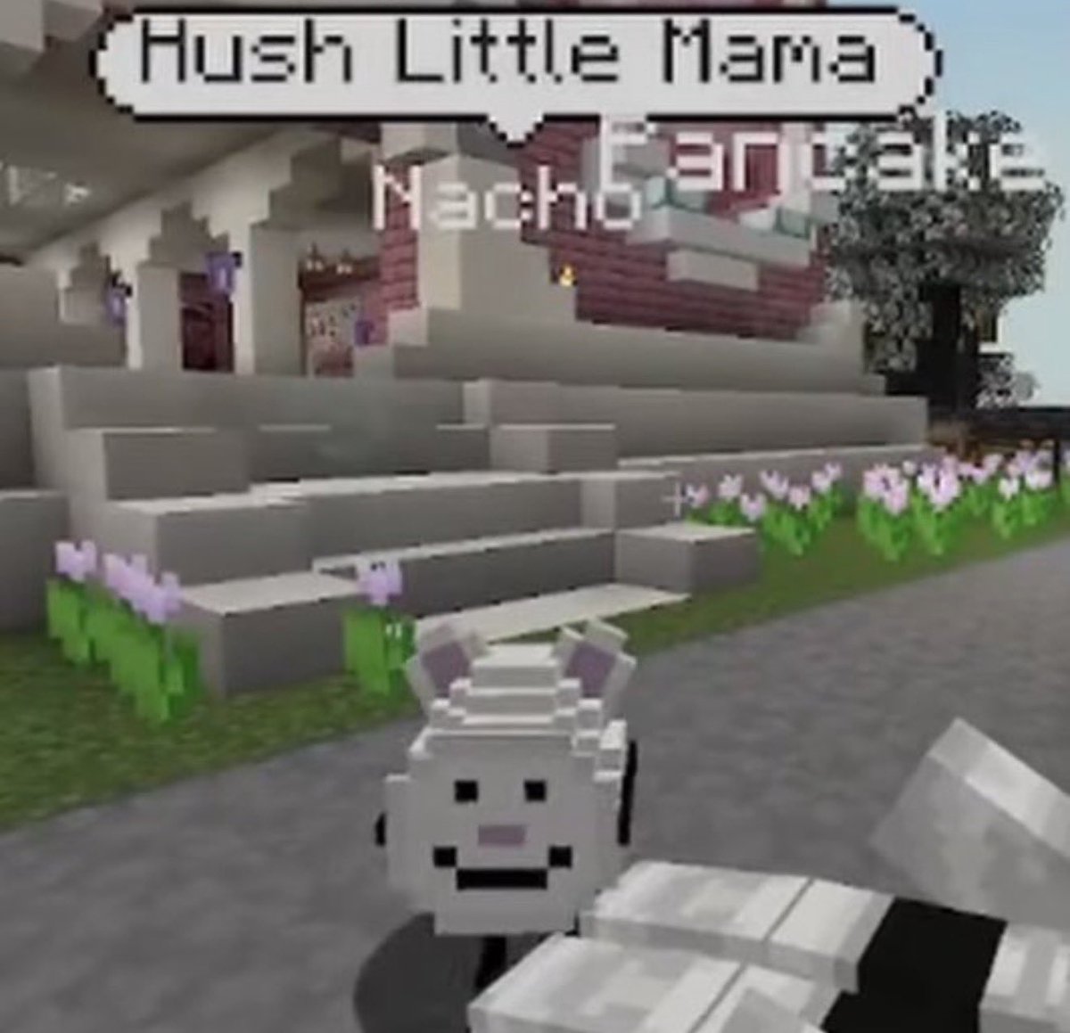 meg ~ qsmp2 tweet media