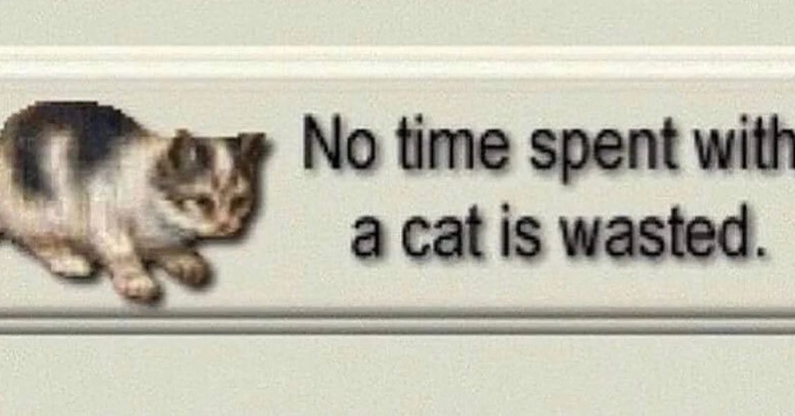 PunchingCat's tweet photo. https://t.co/TyTPeFqmm8