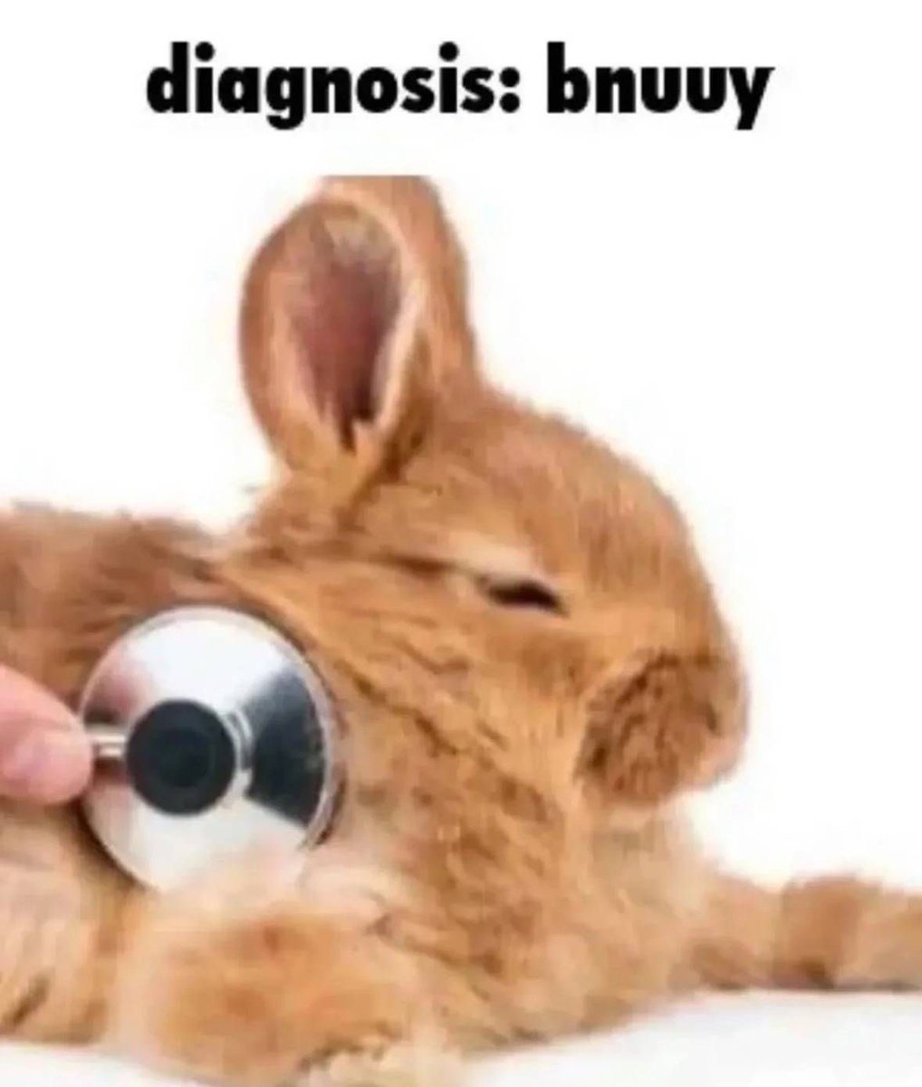 DoctorCrogimber's tweet photo. @cutebabeb https://t.co/zCzXWmHvPL