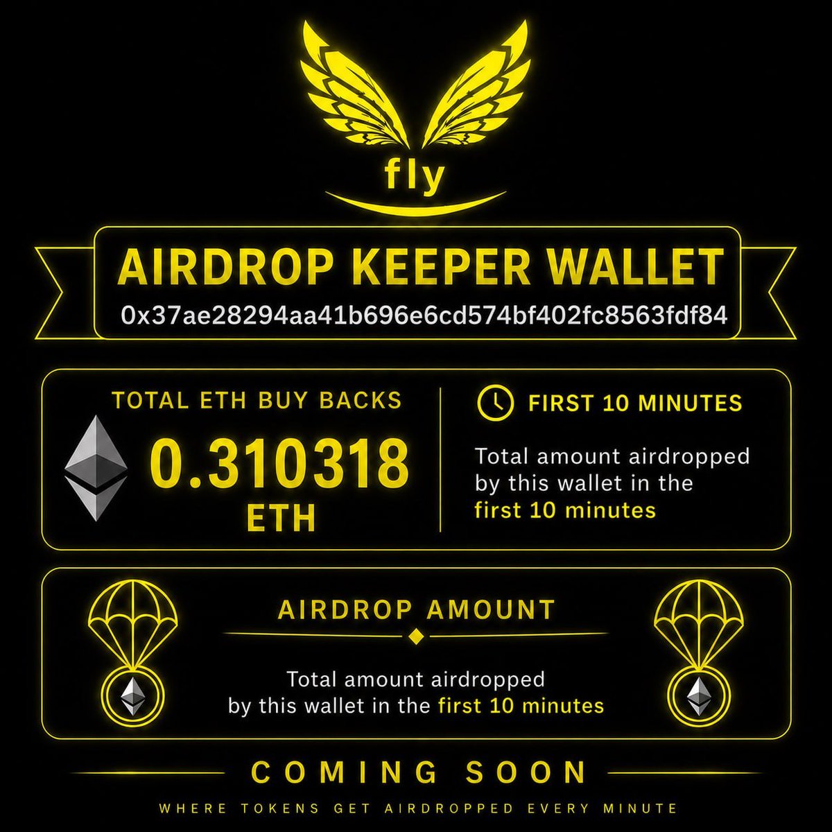 Fly tweet media