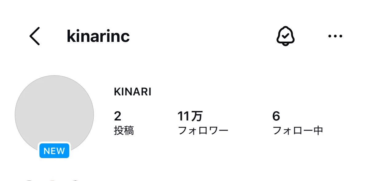 N (@n88_nyaa) / X