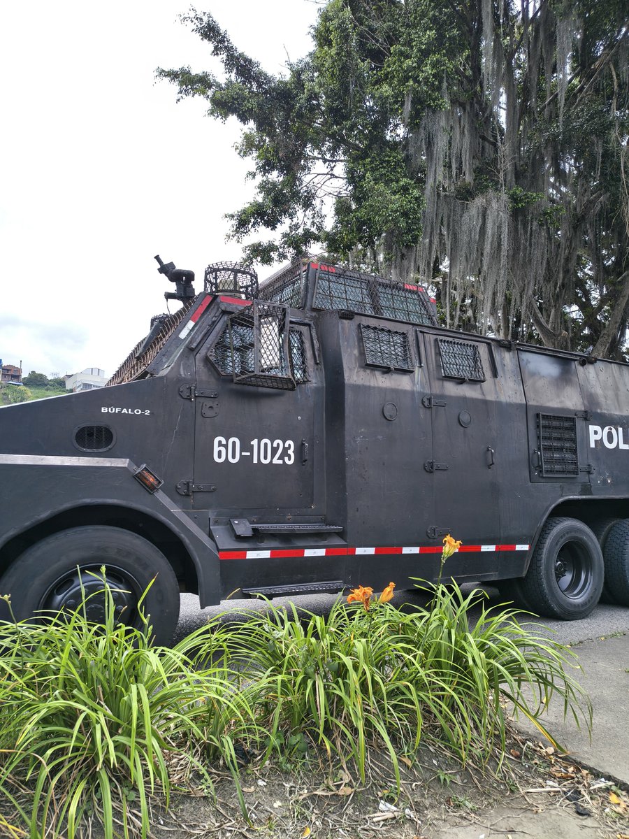 MuyEnojado 🚨 tweet media