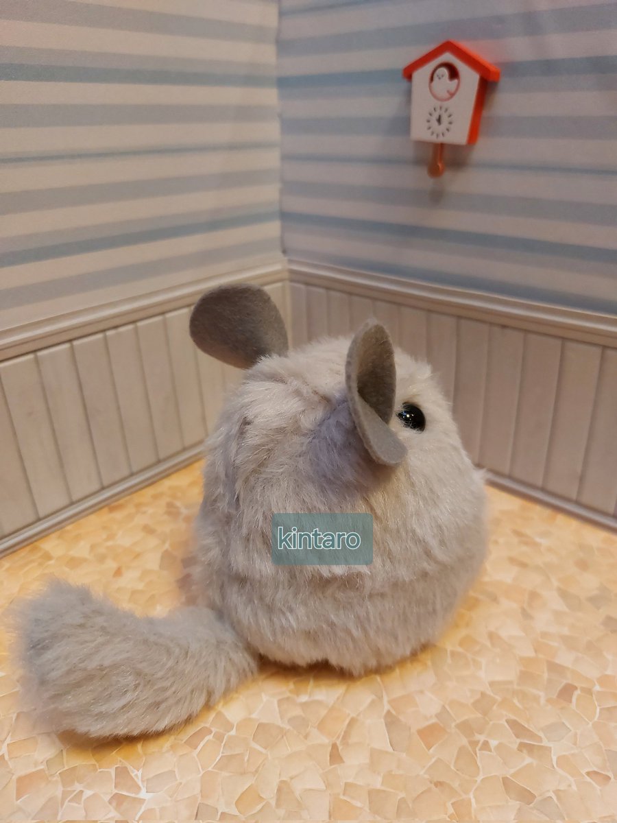 0624Pinky's tweet photo. ばんばぱえりあ先生の、｢げっしるいのぬいぐるみ｣の書籍を見て、チンチラ作りました🥰
つぶらな瞳に胸キュン🥰
#げっしるいのぬいぐるみ
#ばんばぱえりあ　先生 https://t.co/KfO65bPKXE