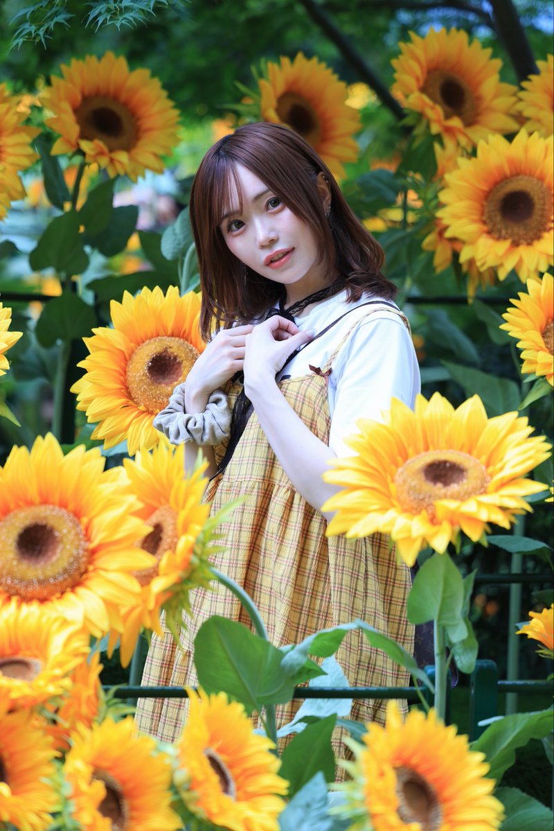 alice_idolclass's tweet photo. おはようございます🌻

もうすっかり夏☀️だね🫠
ひと足先に名古屋でひまわりに
囲まれてきたよ🌻^･·̫･̥ฅ♡ https://t.co/t6AnMMAqUe