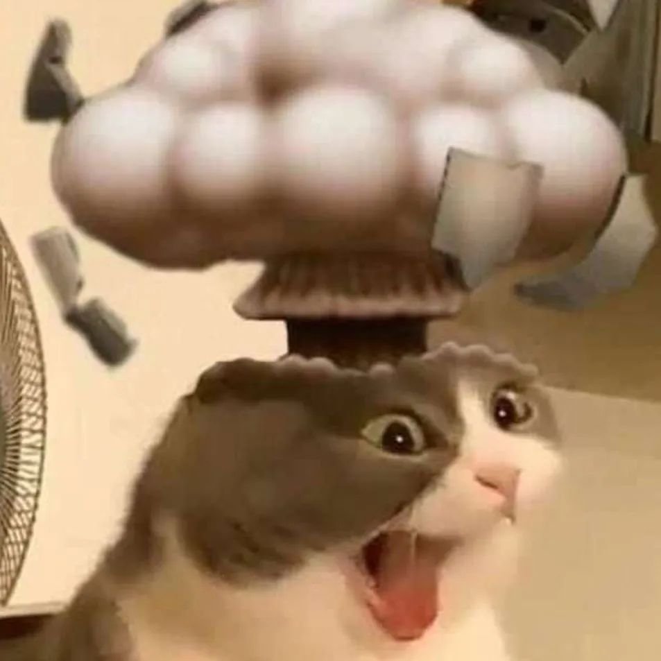 PunchingCat's tweet photo. https://t.co/i2sib3M7ko
