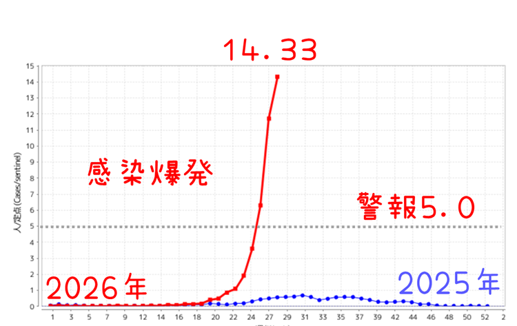 geiger_warning's tweet photo. 【速報】東京で手足口病が感染拡大中🚨
あわわ😿定点当たり14.33人で、警報基準（5.0人）を大きく超えているよ💦去年と比べても感染爆発中🚨
特に保育園・幼稚園を中心に広がりやすいから、小さなお子さんがいるご家庭は気をつけてね🥺

⚠️ 手足口病は大人も感染するよ💦
発熱やのどの痛み、手足の発疹が出ることがあるの😿
まれに髄膜炎や脳炎などの合併症を起こすこともあるから油断しないでね。

🦠 主な感染経路
🤧 飛沫感染（せき・くしゃみ）
✋ 接触感染（手すり・おもちゃ・ドアノブなど）
💩 糞口感染（便に含まれるウイルスがお口に入ること）

🧼 予防のポイントだよ✨
✅ おむつ交換後やトイレの後は、石けんと流水でしっかり手洗い🙌アルコール消毒は効きにくいから、手洗いがいちばん大事なの！アルコール消毒じゃなく石けんと覚えておこう！
あとは
🚫 タオルや食器の共用はできるだけ避けよう🍽️
😷 せきやくしゃみが出るときは、周りにうつさないようにマスクや咳エチケットを心がけてね🍀

🤒 もし感染しちゃったら…
💧 お口の水ぶくれで飲みにくくなることがあるから、こまめに水分をとって脱水に気をつけてね🥤