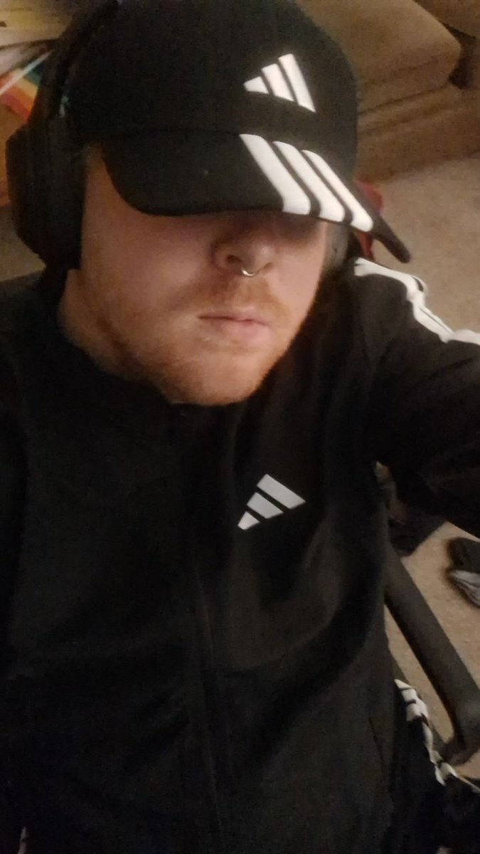 bondage_dog's tweet photo. Feelin' cute https://t.co/QWZ4iOeFAu