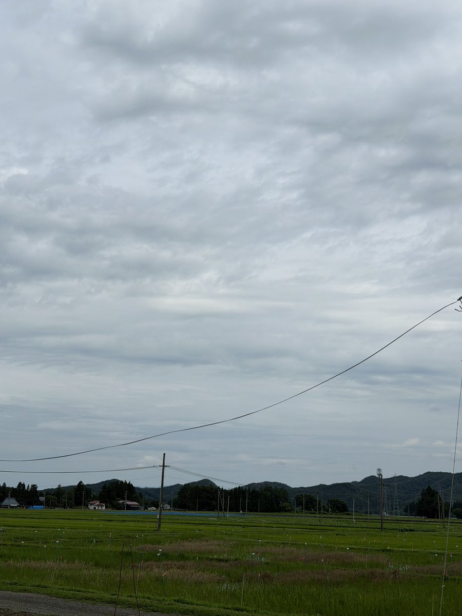 KURUMAYAN0711's tweet photo. おはようございます😌
今朝は曇り空の大曲です

今日から梅雨空続きそうですけど、よりにもよって連休に天気崩れなくてもって感じですよね😥

ただ、気温は相変わらず高いみたいなので、熱中症には引き続き気をつけましょう😁

本日も皆様のご来店お待ちしております🙇‍♂️
#イマソラ https://t.co/GqrZtcJAor