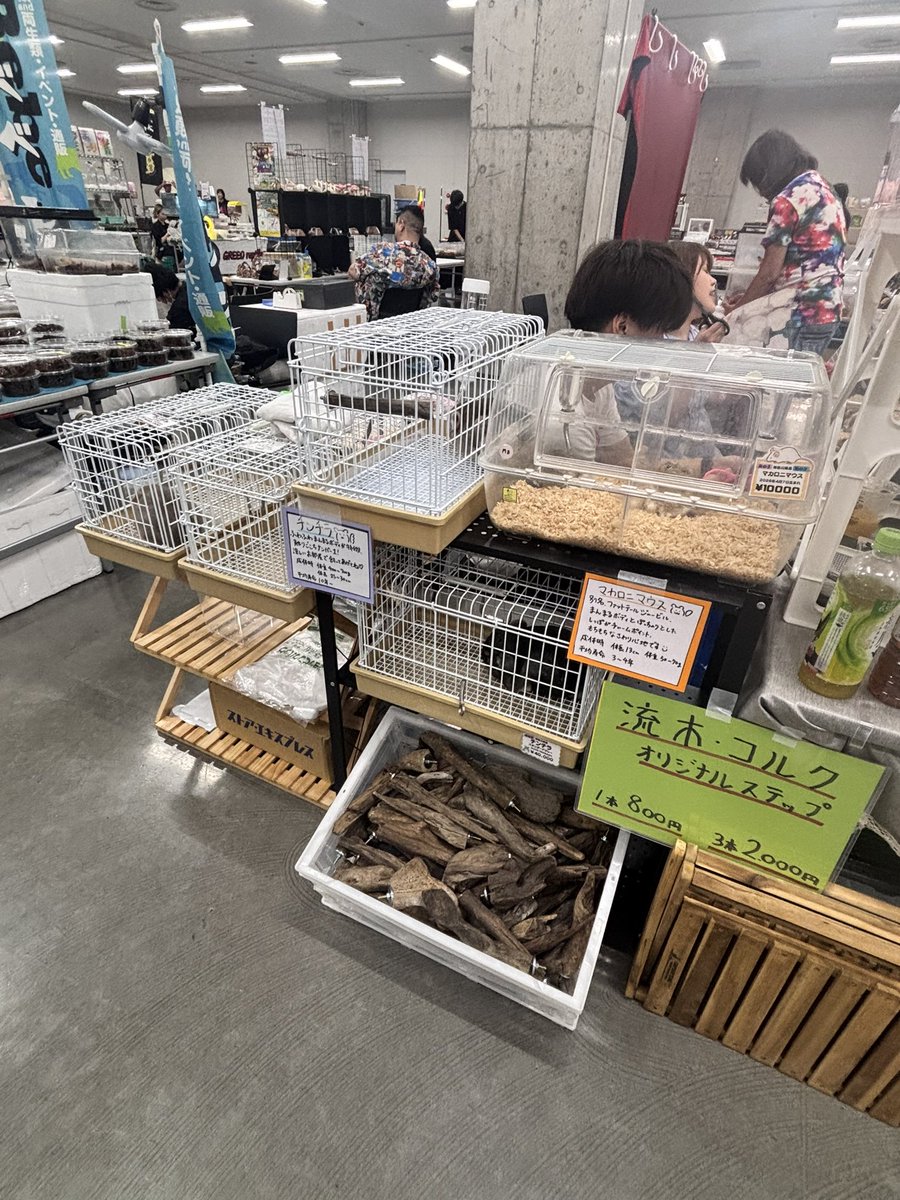 futoshito523's tweet photo. 設営完了！今日は遅刻してません！
エキゾチックレプタイルエキスポ、よろしくお願いします🙇‍♀️ https://t.co/A5xWDg003i