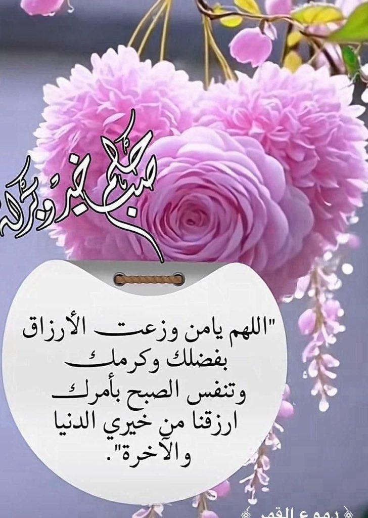 ali96bb tweet picture