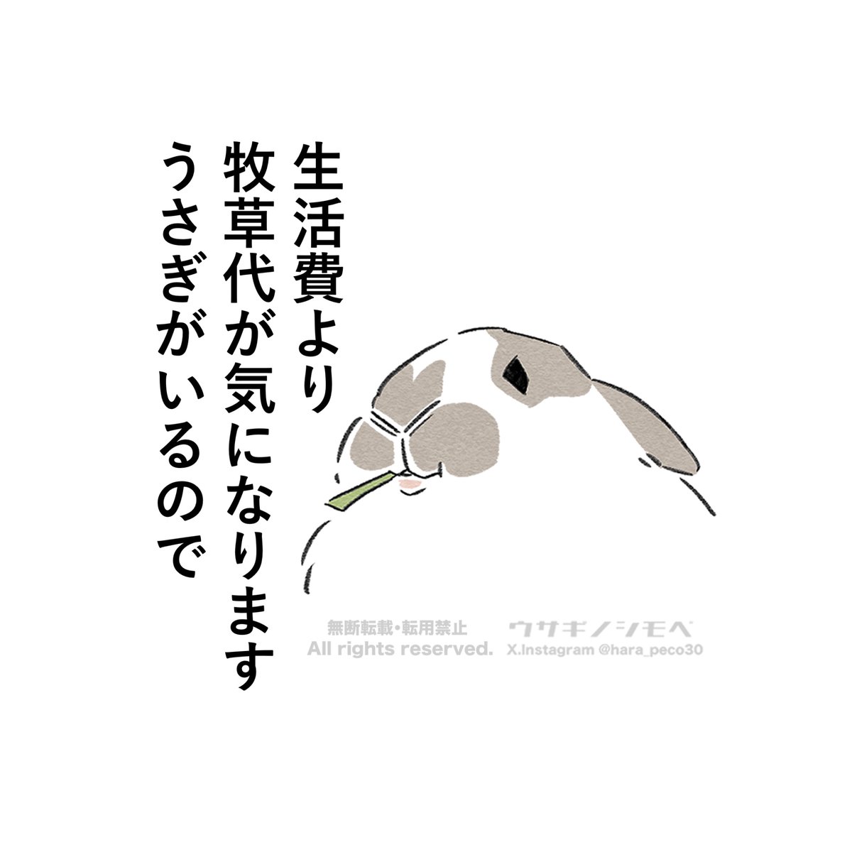hara_peco30's tweet photo. 生活費より牧草代が気になります
うさぎがいるので🐰 https://t.co/GfAp6R2utn