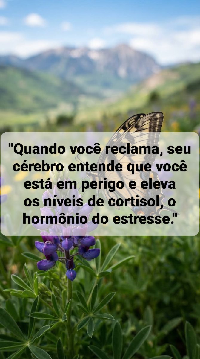 gerci_junior's tweet photo. (PALAVRAS DE FÉ):😇☝👑📔💡📖🙏🔥🙌🕊👏 https://t.co/GLYuEASxd3
