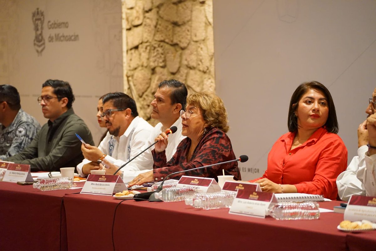 diegomatz's tweet photo. En el #PlanMichoacan @cultura_mx seguirá reforzando su participación y presencia territorial para continuar transformando realidades

@Claudiashein 
@ccurieldeicaza 
@VinculaCultura https://t.co/l6OZdiXfZl