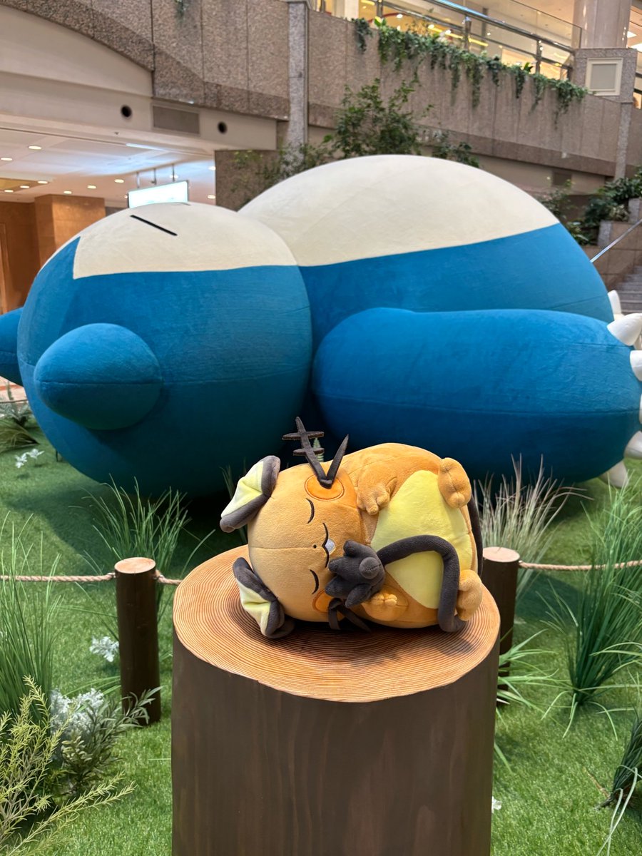 twtw2023's tweet photo. デデンネ
⭐️⭐️⭐️⭐️⭐️
カビゴンと一緒オネン寝
 #ポケスリ3周年をみんなで https://t.co/qOftnJhoTG