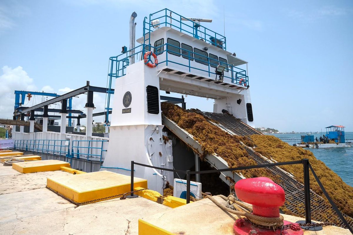 Gobierno Quintana Roo tweet media