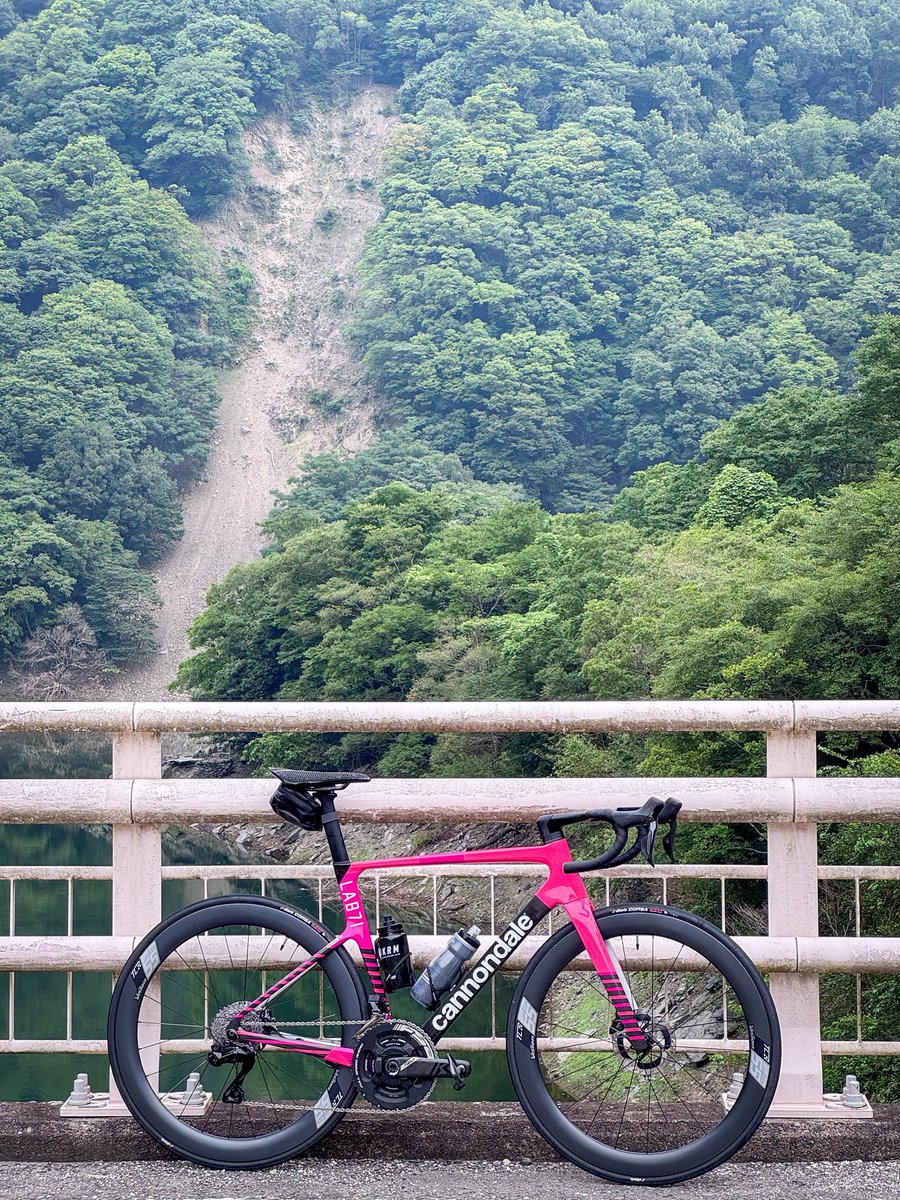 trytrinoah's tweet photo. TTバイクでサイコン見つめてるより、Zwiftで画面見つめてるより、ロードで汗だくで森の中を走るのが1番楽しい🚴‍♂️
SSEVOにも大分慣れたけど、ハンドルの狭さがやっぱり気になる。 https://t.co/jbXsRX6cRE