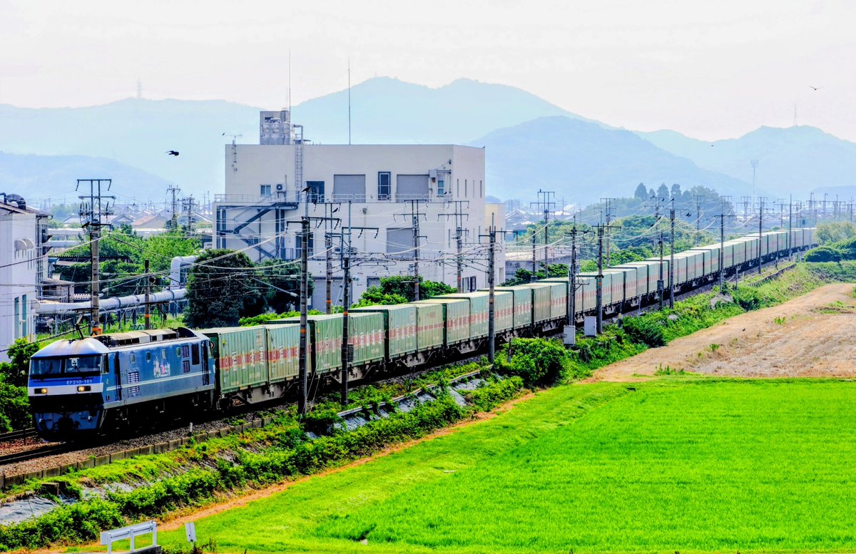 2026/7/18 ✡本日の貨物🟦福山ﾚｰﾙｴｸｽﾌﾟﾚｽ🟩 ❊56ﾚ/EF210-336📸網干