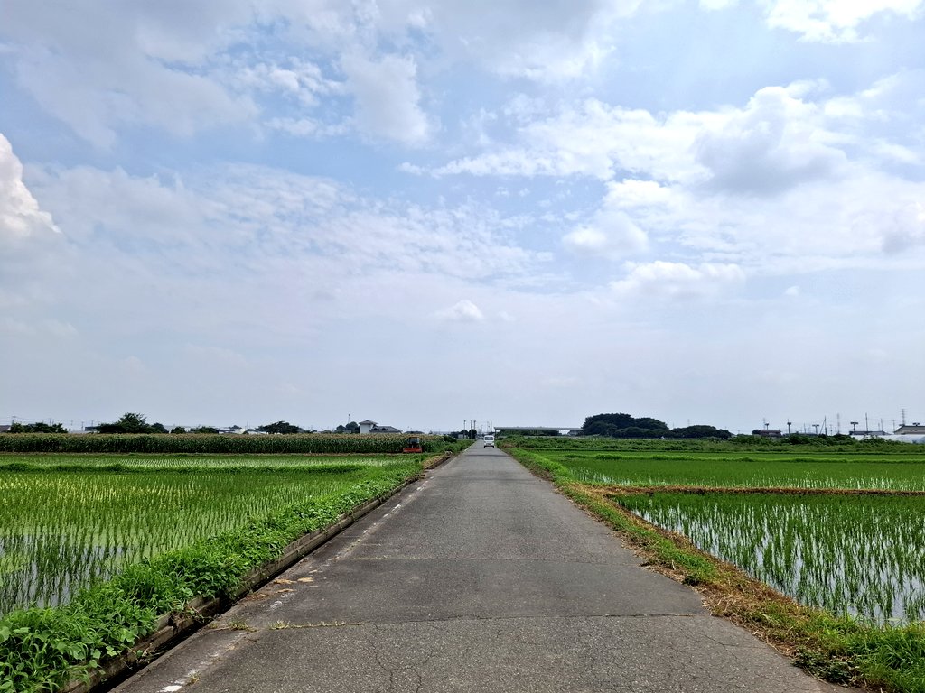 Tami1967Blue's tweet photo. ７月１６日
実家が売れた。

去年買った
朝顔柄のダルマに
｢実家が売れるように🙏｣と
���を掛けていた
ダルマに両目👀が入った。

肩の荷が降りた💨
気持ちがラクになった💨

お母さんありがとう🛐 https://t.co/6azml7XBgY