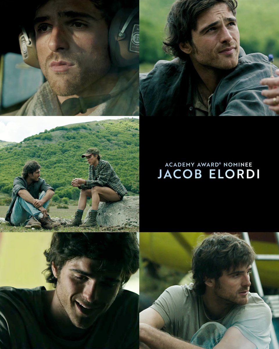 JacobElordmc's tweet photo. The Dogs Stars https://t.co/plnq6dOf83