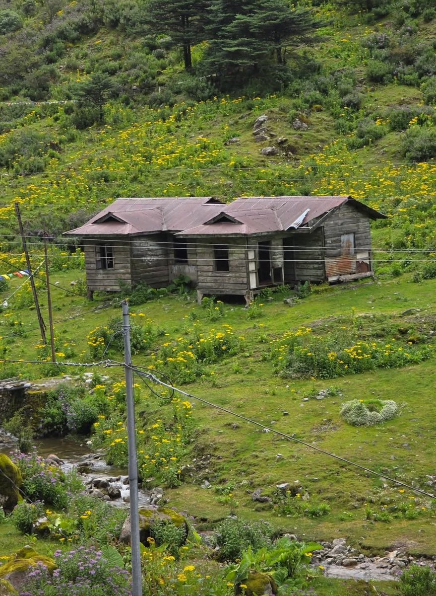 HIMANSHUNYSA's tweet photo. Al onely house in the lapse of nature with the beauty surrounded by..What a wish !!!
Have a great start of day and Happy Saturday 🎹🌈❤️🌹 https://t.co/DBWofIIcx4