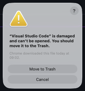 flutlancer's tweet photo. Don't update @code if you have a silicon mac chip... https://t.co/THg09zA9kR