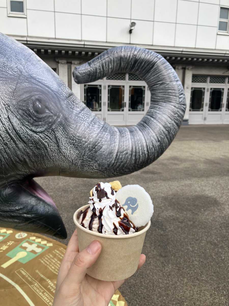 ゾウのたかちゃんサンデー販売中＠フィールグリーンカフェ（日本橋