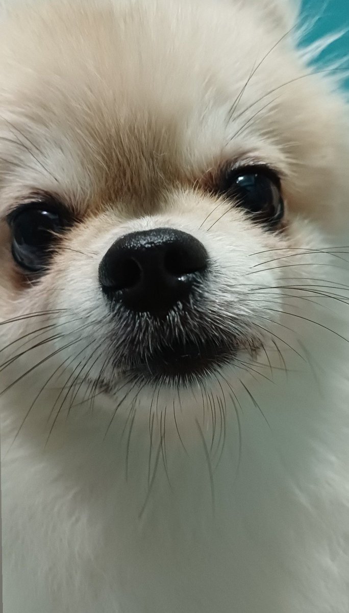 sarayip3's tweet photo. 昨晚在床上睇手機
之後就瞓著左
醒番已經1點26分🤣🤣🤣
wewe心諗；人類做咩開燈瞓 https://t.co/KX3jgNIai8