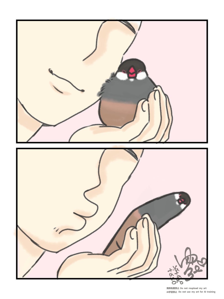 tarotamatensu's tweet photo. ちゅっちゅは拒否！！
#文鳥
#鳥好きさんと繋がりたい https://t.co/2ysGANWY0e