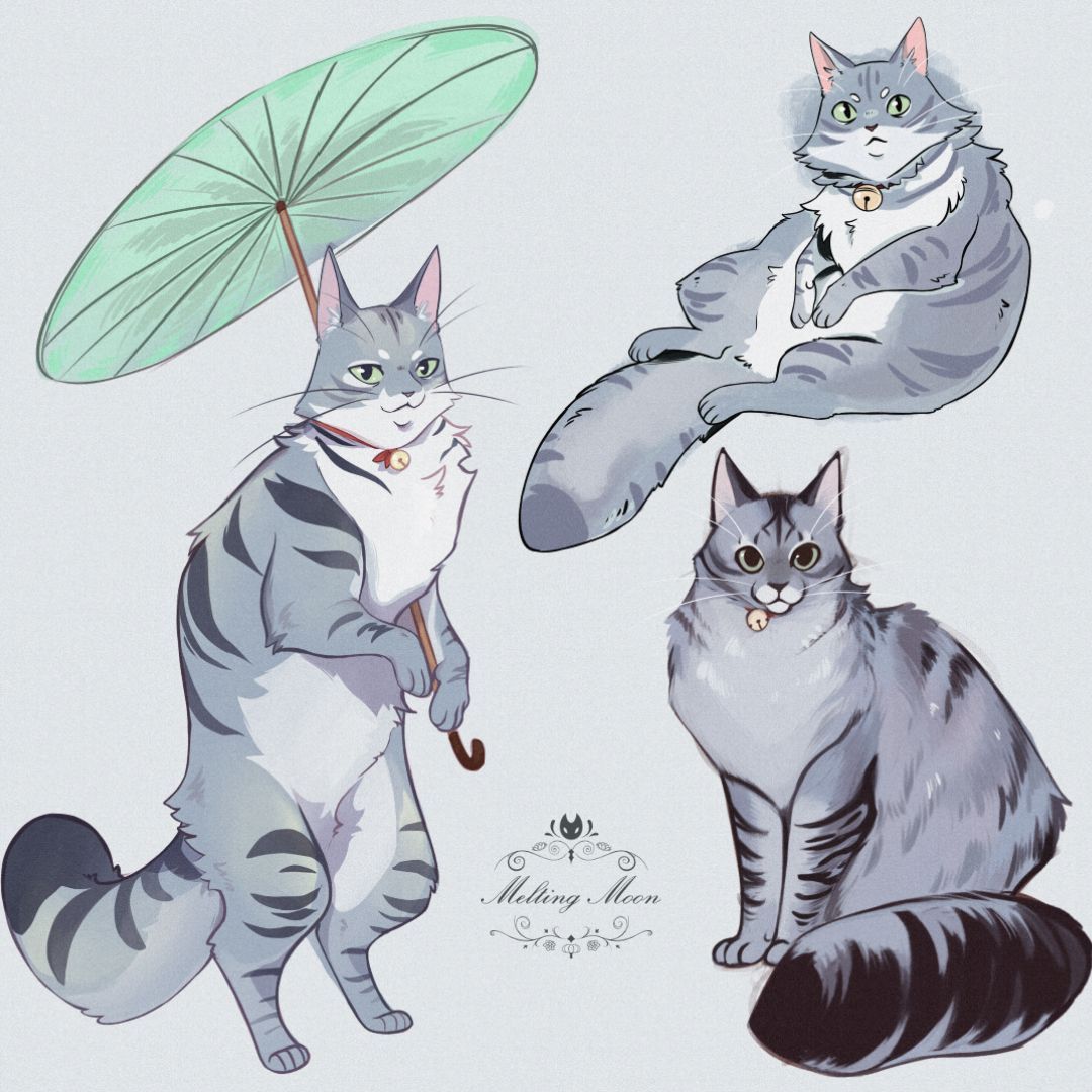 TheMeltingMoons's tweet photo. More cat studies! 🐈
Meet Tobi! We used this handsome little guy as our model and drew him in three different styles.
#cats #tabby #catstudies https://t.co/g0LshsKHXn